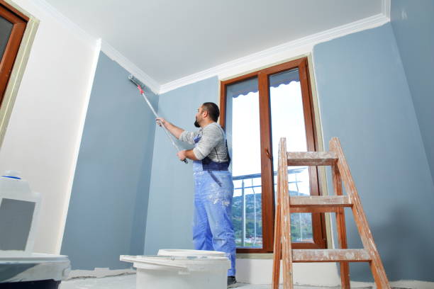 Best Eco-Friendly and Low-VOC Painting  in Venice, IL